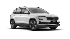 SKODA KAROQ ESTATE at Derek Slack Motors Ltd Middlesbrough