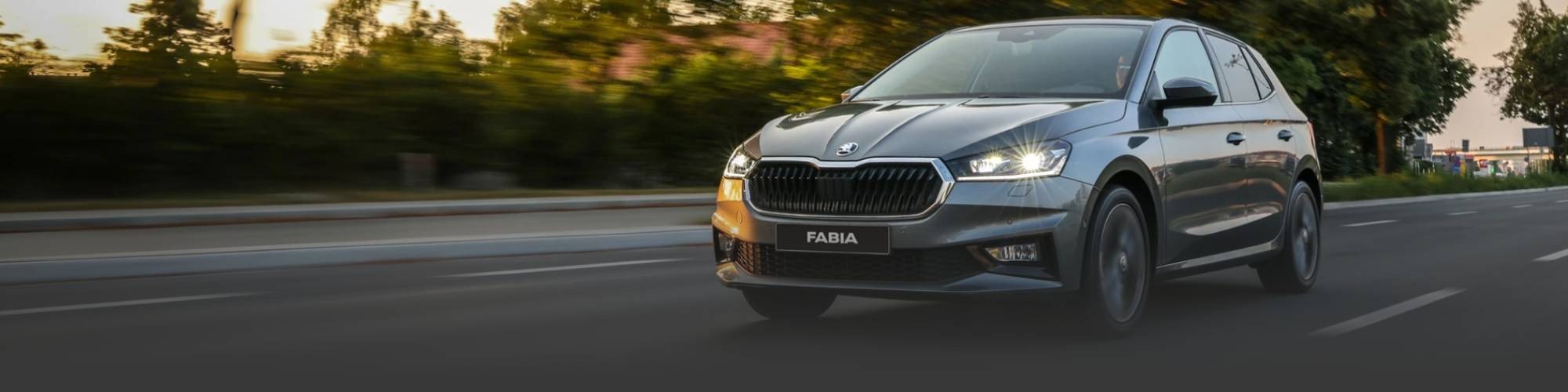 skoda fabia Banner